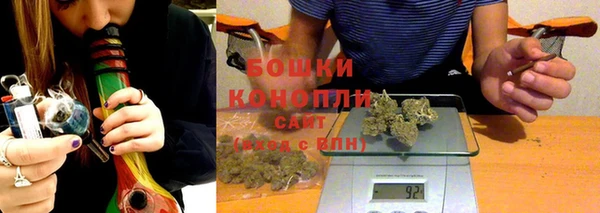 индика Арсеньев