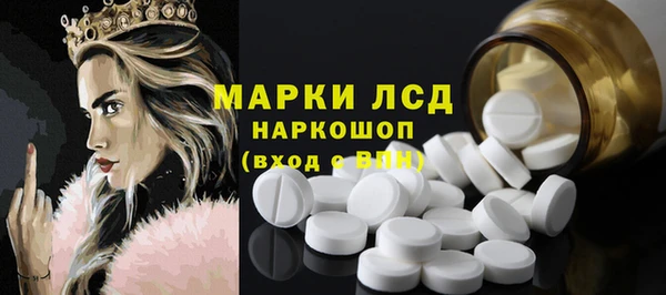 стафф Аркадак