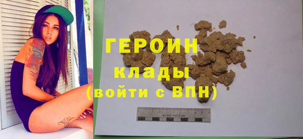 индика Арсеньев