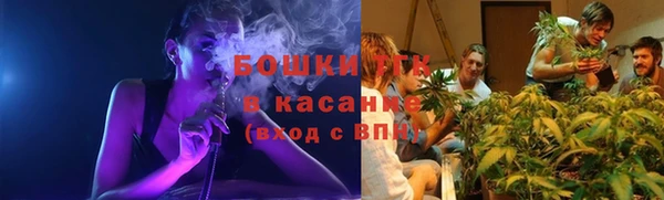 индика Арсеньев