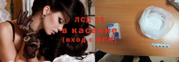 индика Арсеньев