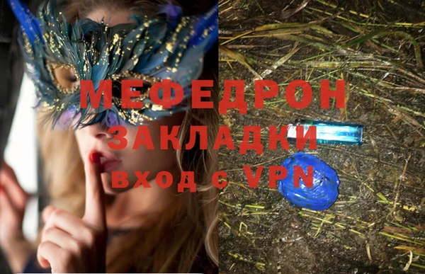 индика Арсеньев