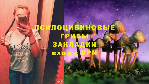 индика Арсеньев