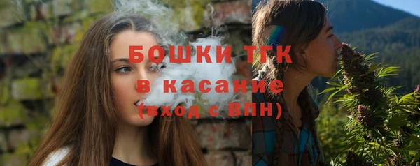 стафф Аркадак